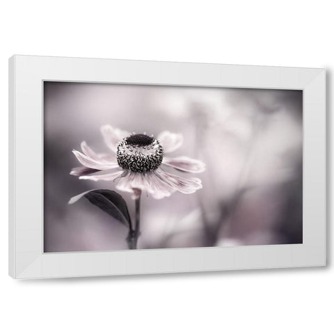 Helenium White Modern Wood Framed Art Print by Disher, Mandy