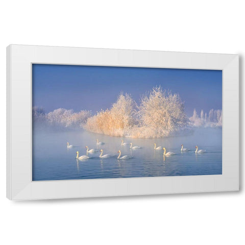 Swan Lake White Modern Wood Framed Art Print by Zhu, Hua