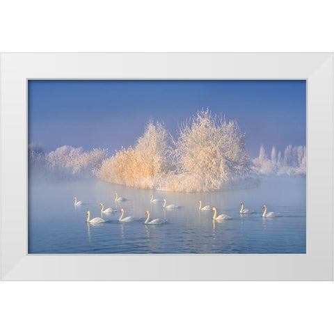 Swan Lake White Modern Wood Framed Art Print by Zhu, Hua