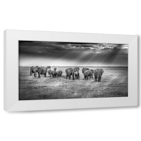 Breakfast With Pachyderms White Modern Wood Framed Art Print by C. Sink, Jeffrey