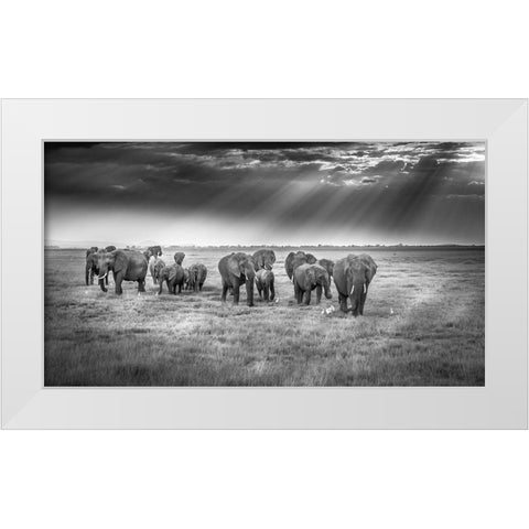 Breakfast With Pachyderms White Modern Wood Framed Art Print by C. Sink, Jeffrey