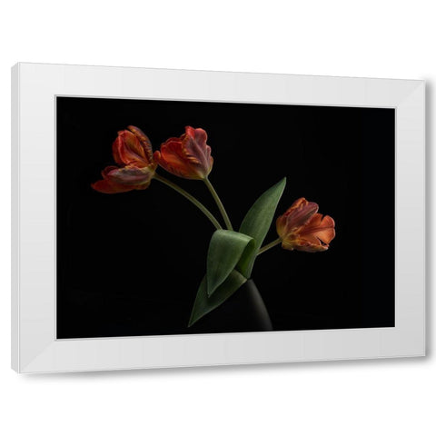 Tulips In Vase White Modern Wood Framed Art Print by Gronkjar, Lotte