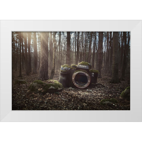 Lost White Modern Wood Framed Art Print by Cakovsky, Peter