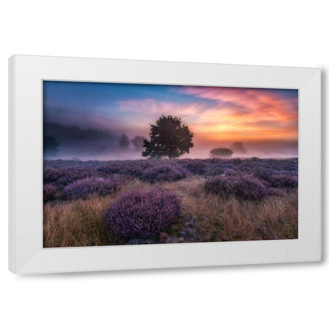 Qautumn Longingq White Modern Wood Framed Art Print by Pachula, Adam