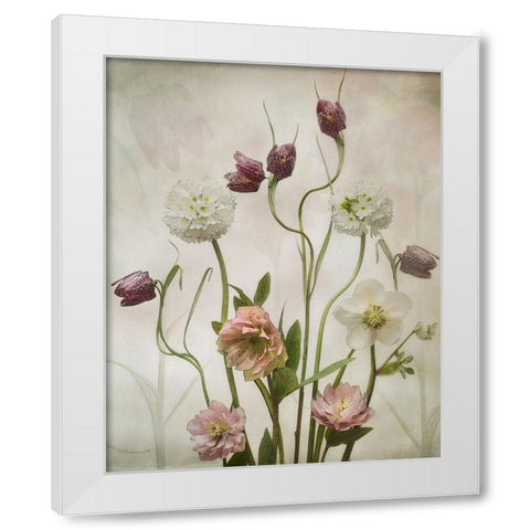 Spring Garden White Modern Wood Framed Art Print by Williams, Sharon