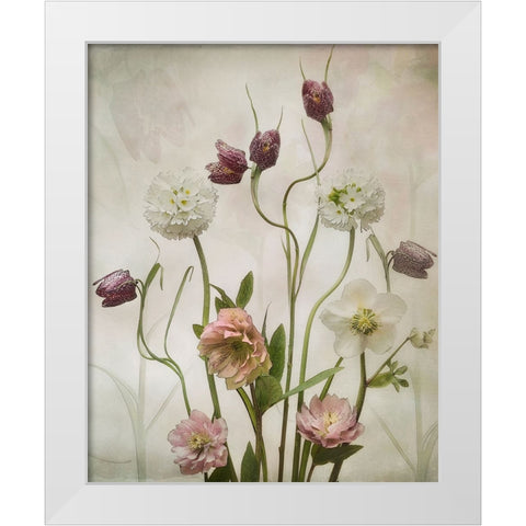 Spring Garden White Modern Wood Framed Art Print by Williams, Sharon