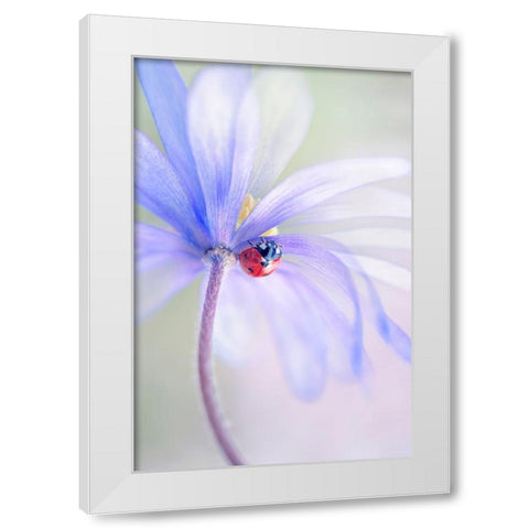 Spring Lady White Modern Wood Framed Art Print by Parker, Jacky
