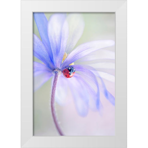 Spring Lady White Modern Wood Framed Art Print by Parker, Jacky