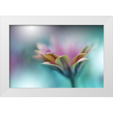 Memories Of Sea.. White Modern Wood Framed Art Print by Nan, Juliana