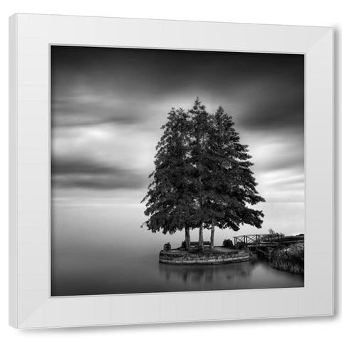 Sweden Landscape White Modern Wood Framed Art Print by Digalakis, George