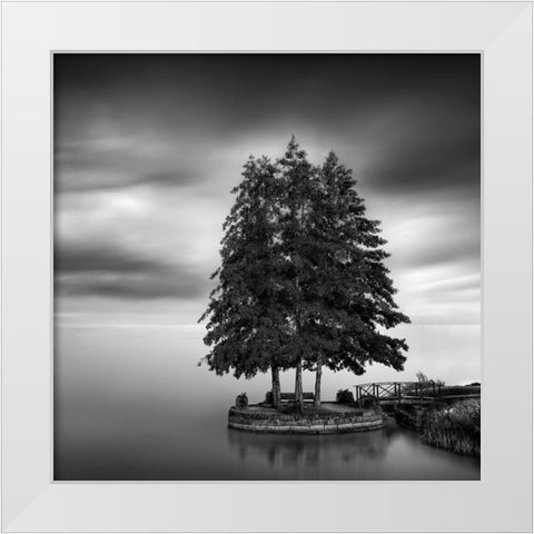 Sweden Landscape White Modern Wood Framed Art Print by Digalakis, George