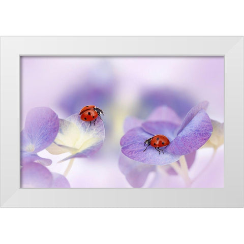 Red And Purple White Modern Wood Framed Art Print by Van Deelen, Ellen