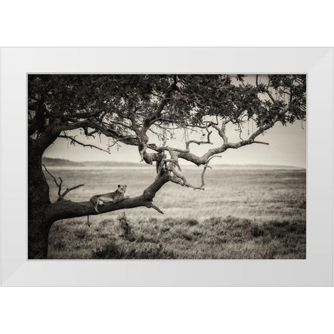 Queen White Modern Wood Framed Art Print by Alnaser, Mohammed