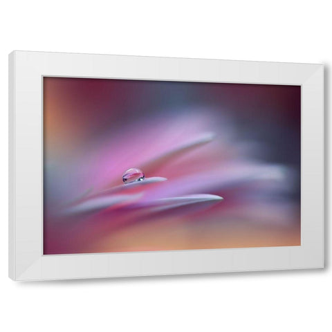 Sound Of Colors.. White Modern Wood Framed Art Print by Nan, Juliana