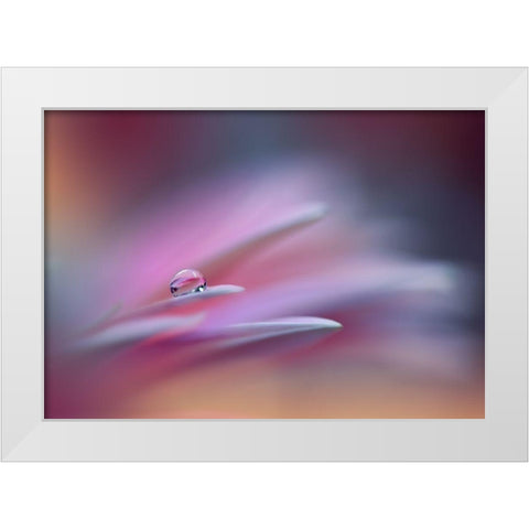 Sound Of Colors.. White Modern Wood Framed Art Print by Nan, Juliana