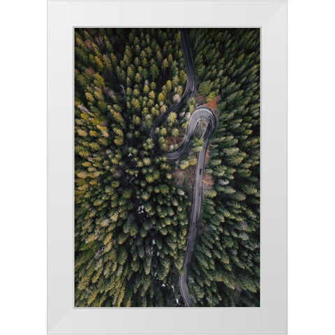 Forest Vibes White Modern Wood Framed Art Print by Beata, Angyalosi