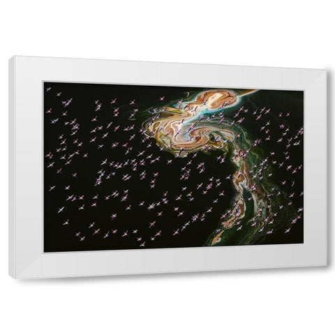 Hundreds Of Flamingos White Modern Wood Framed Art Print by J. Chen, John
