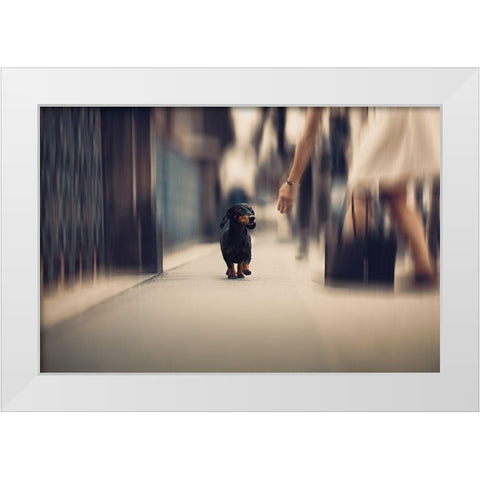 Sometimes We Need A Helping Hand... White Modern Wood Framed Art Print by Willers, Heike