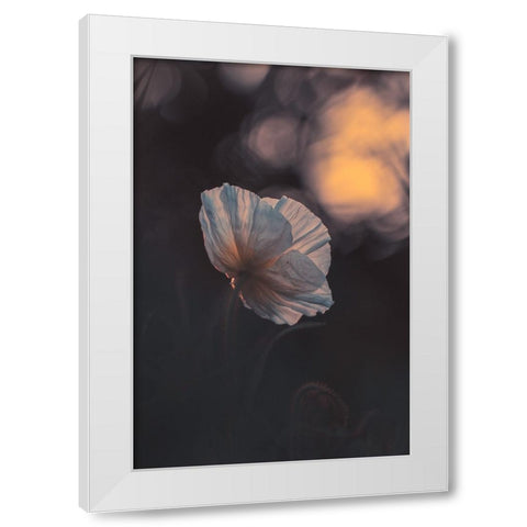 Last Ray White Modern Wood Framed Art Print by BRAVIN, Fabien