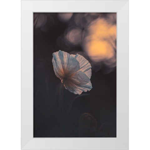 Last Ray White Modern Wood Framed Art Print by BRAVIN, Fabien