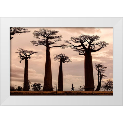 Madagascar White Modern Wood Framed Art Print by Mirica, Dan