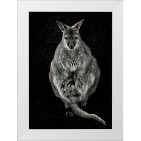 Want To Emancipate White Modern Wood Framed Art Print by Guillemot, Mathilde