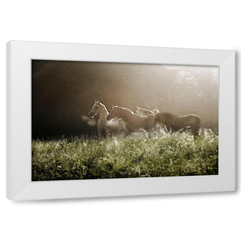 Yesterday Morning White Modern Wood Framed Art Print by Malovrh, Milan