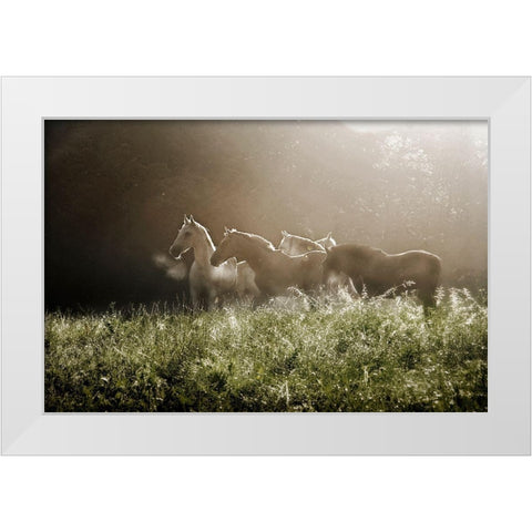 Yesterday Morning White Modern Wood Framed Art Print by Malovrh, Milan