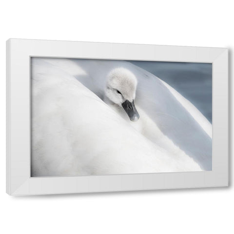 A Dress That Is Too Big White Modern Wood Framed Art Print by H., Aijing