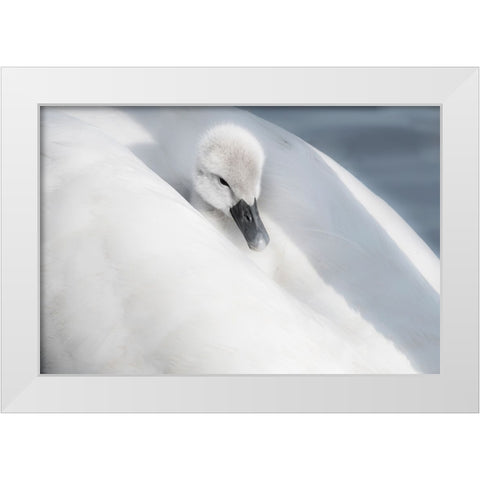 A Dress That Is Too Big White Modern Wood Framed Art Print by H., Aijing