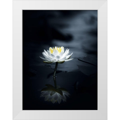 Reflection White Modern Wood Framed Art Print by Suzuki, Takashi