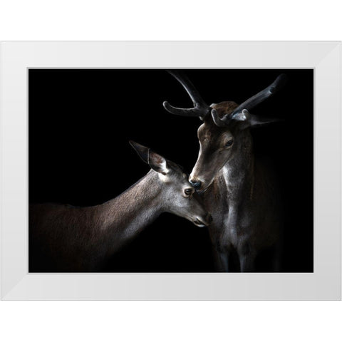 Tenderness White Modern Wood Framed Art Print by Pascual Buye, Santiago