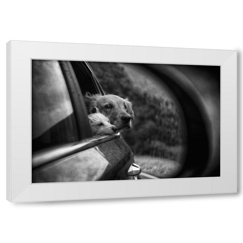 Roadtrip White Modern Wood Framed Art Print by Labagnara, Roxana