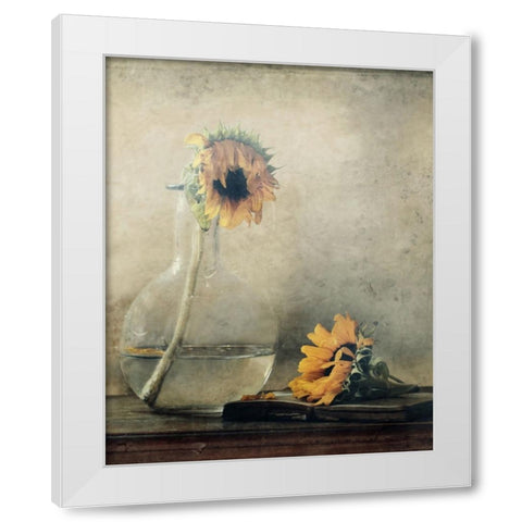 Before I Wilt... White Modern Wood Framed Art Print by Devos, Delphine