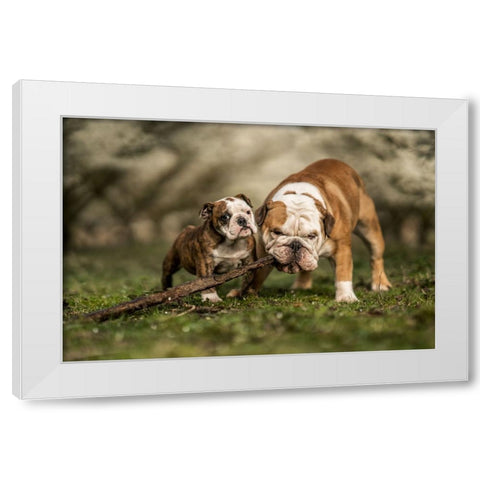 Busy With A Stick White Modern Wood Framed Art Print by van den, Gert