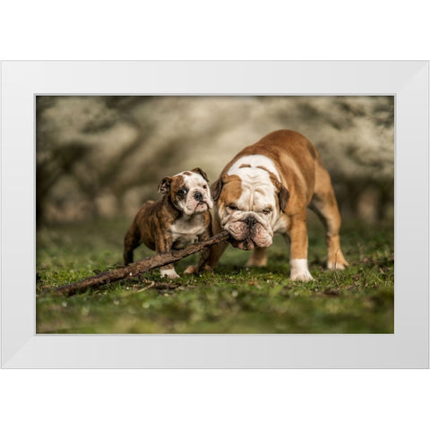 Busy With A Stick White Modern Wood Framed Art Print by van den, Gert