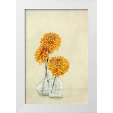 3 Dahlias White Modern Wood Framed Art Print by Gray, Gaille