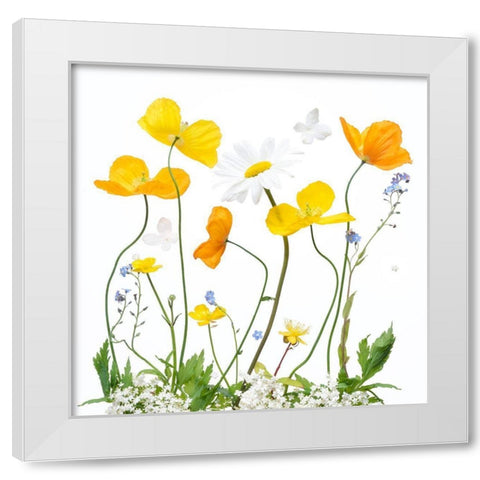 Spring Sunshine White Modern Wood Framed Art Print by Williams, Sharon