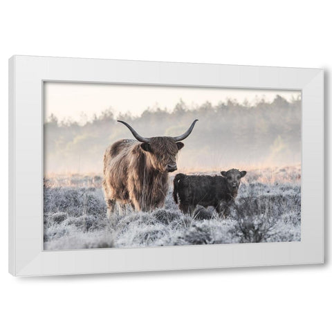 Highlander And Calf White Modern Wood Framed Art Print by van den, Jaap