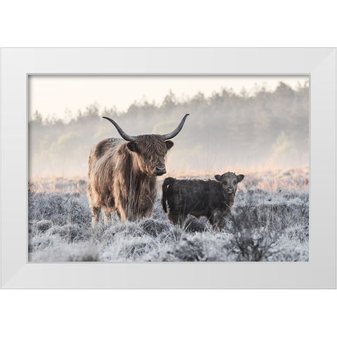 Highlander And Calf White Modern Wood Framed Art Print by van den, Jaap