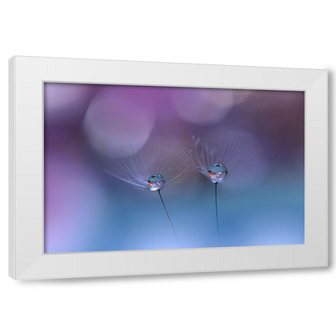 ~O~O~ White Modern Wood Framed Art Print by Nan, Juliana