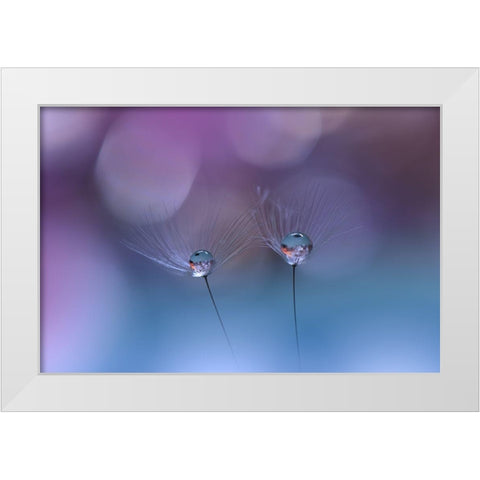 ~O~O~ White Modern Wood Framed Art Print by Nan, Juliana