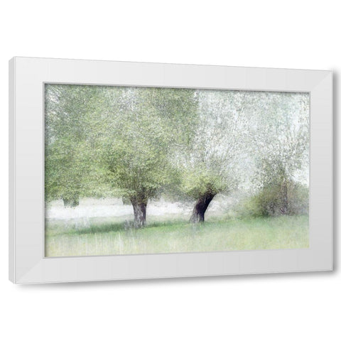 Young Green White Modern Wood Framed Art Print by Talen, Nel
