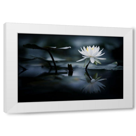 Reflection White Modern Wood Framed Art Print by Suzuki, Takashi