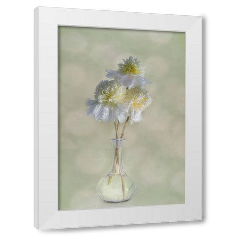 Peonies White Modern Wood Framed Art Print by Gray, Gaille