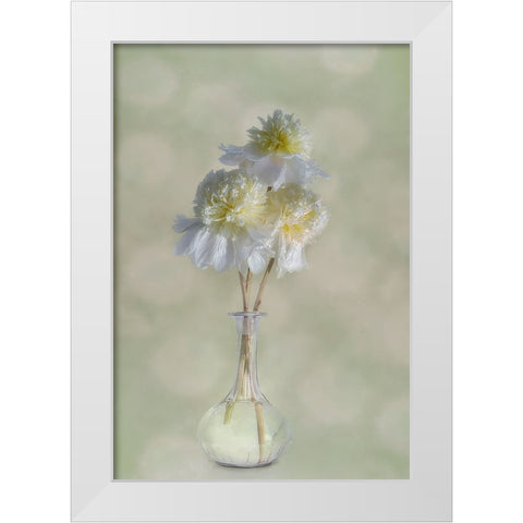 Peonies White Modern Wood Framed Art Print by Gray, Gaille