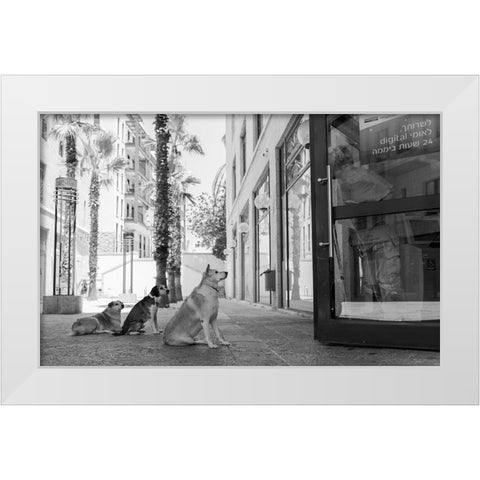 Untitled White Modern Wood Framed Art Print by Lev Ari, Shay