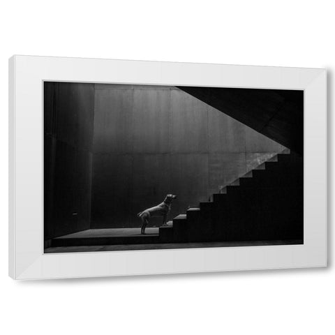 On The Threshold Of A Dream White Modern Wood Framed Art Print by Camara, Luis