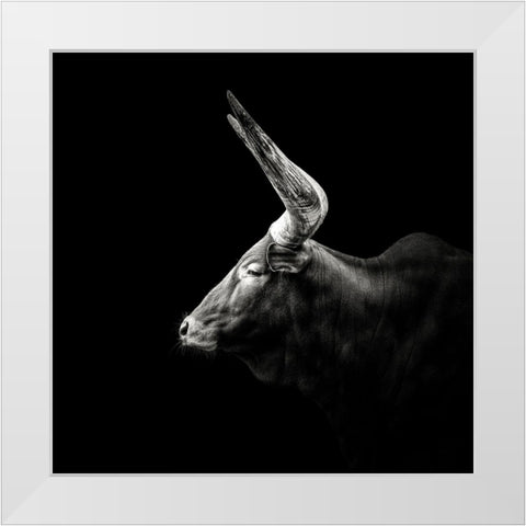 Watusi White Modern Wood Framed Art Print by Meermann, Christian