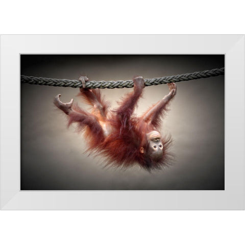 Dont Murder Our Primeval Forests White Modern Wood Framed Art Print by Wenner-Braun, Antje